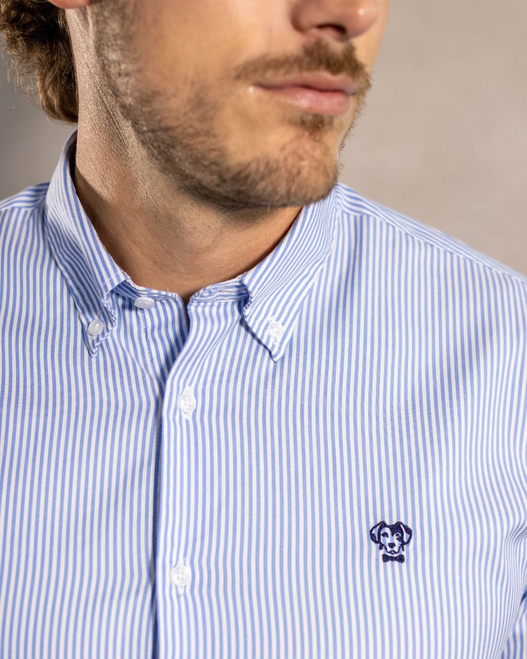 Camisa Antimanchas Oxford Rayas Azul Yale - imagen 2