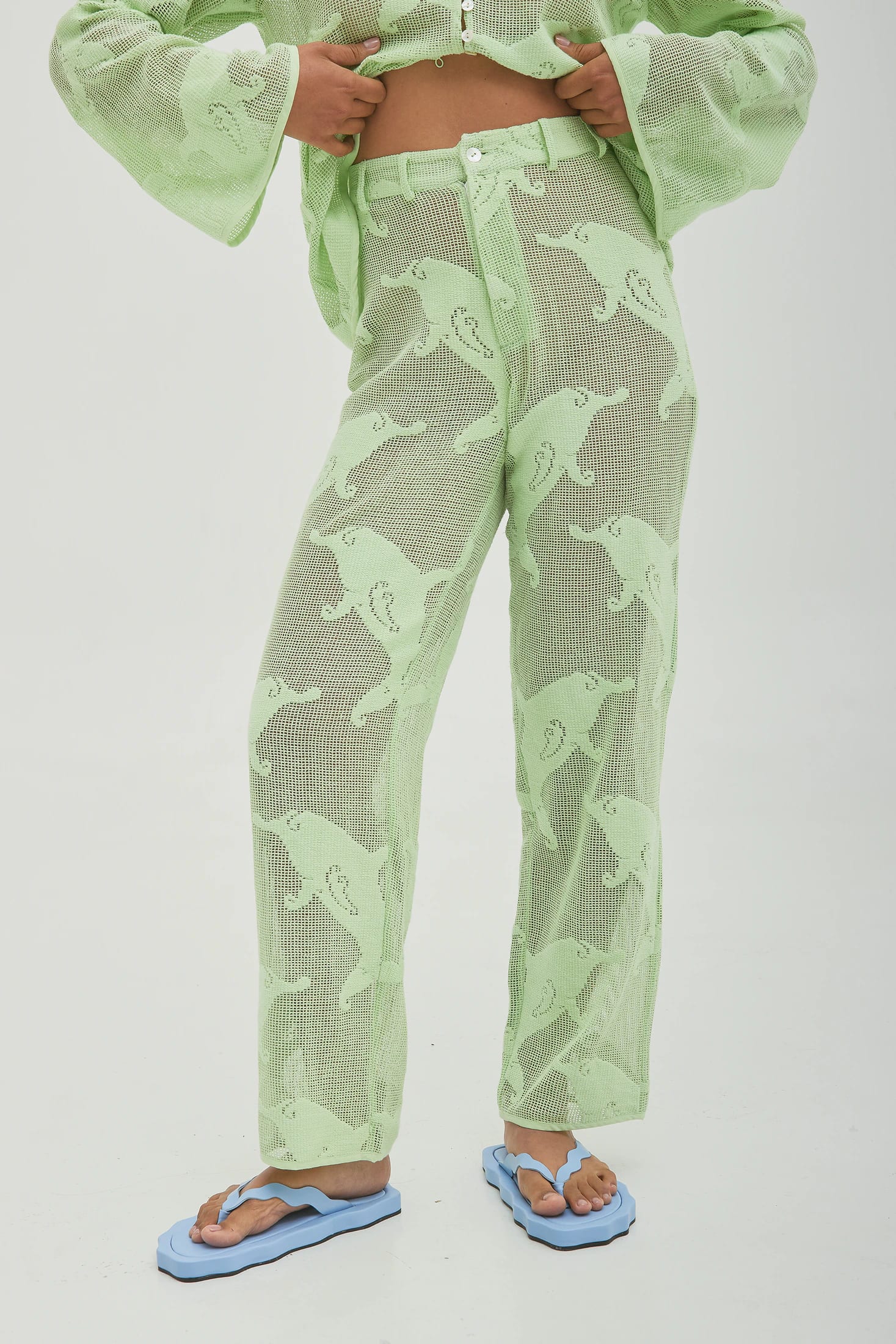 Pant Dolphins Verde - imagen 2