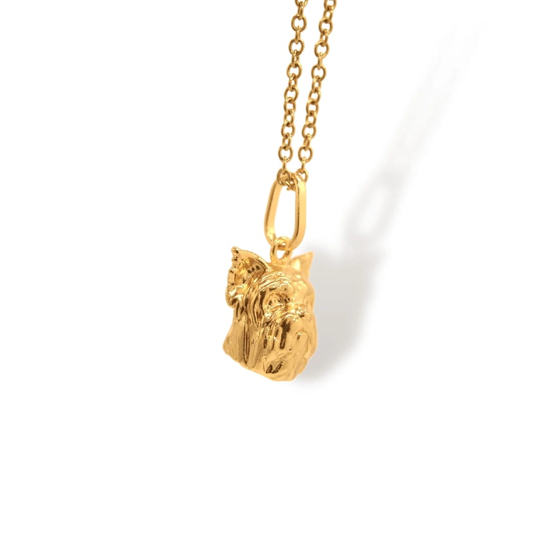 Cadena de Yorkie - imagen 2