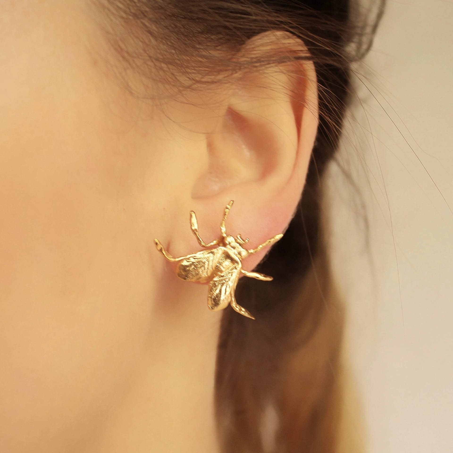 Aretes de mosca - imagen 2