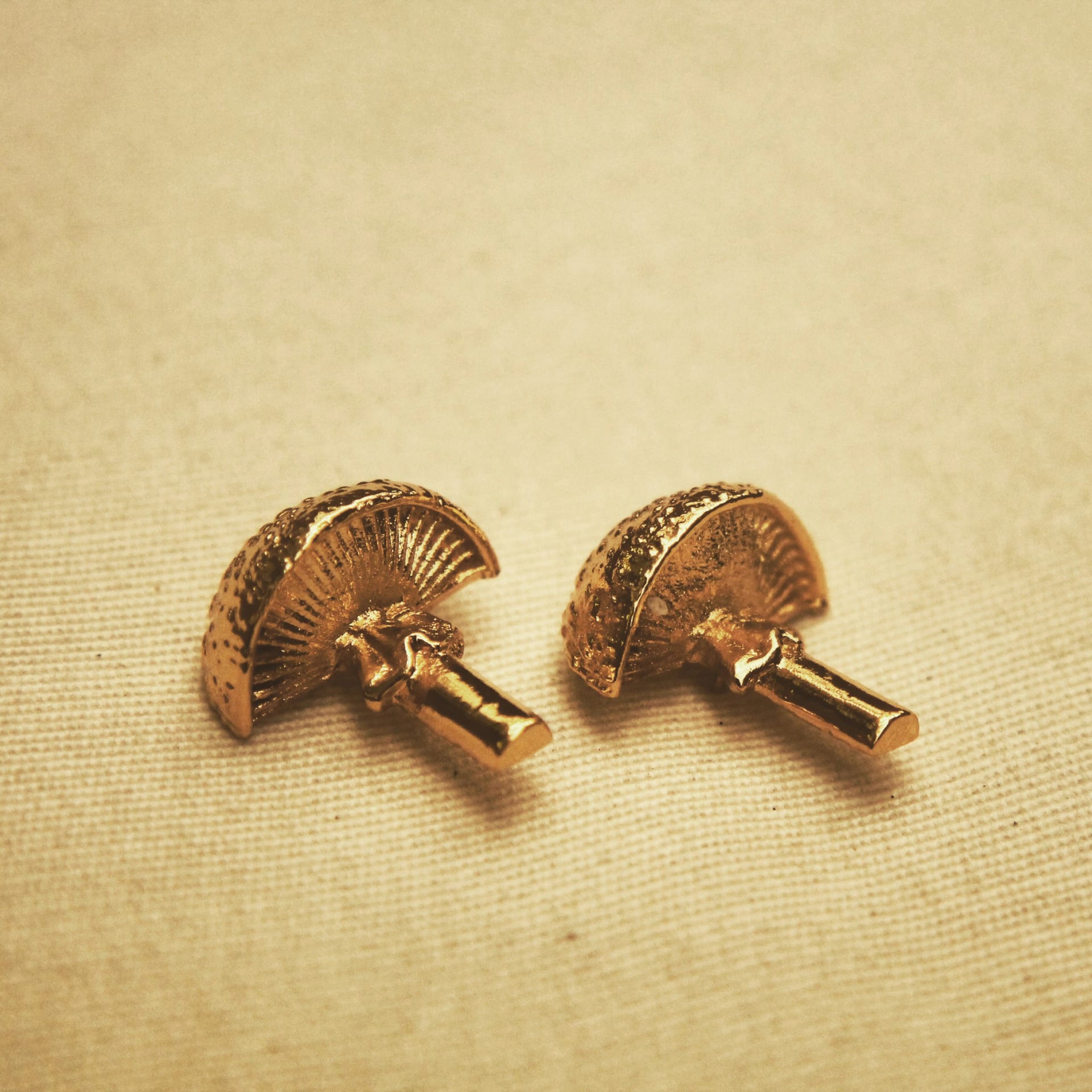 Aretes de hongo - imagen 2