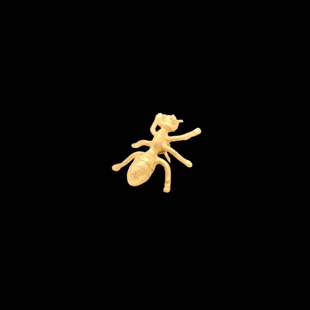 Pin de hormiga pequeña - imagen 3