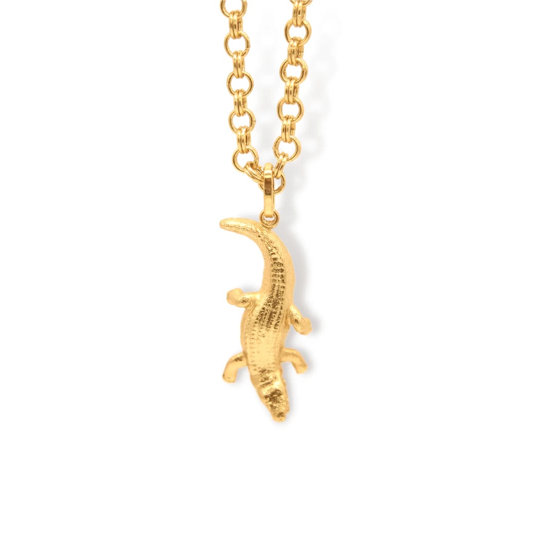 Cadena de cocodrilo - imagen 1