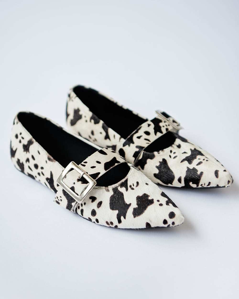 COW POINTER FLATS - imagen 5