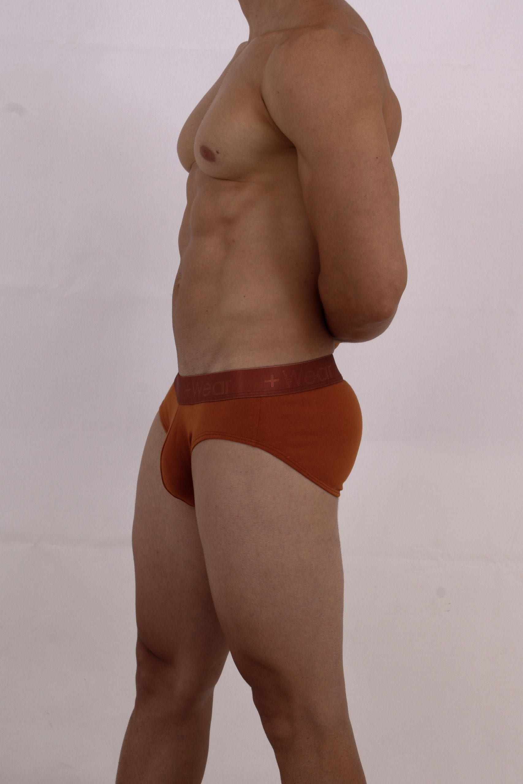 Brief Terracota - imagen 3