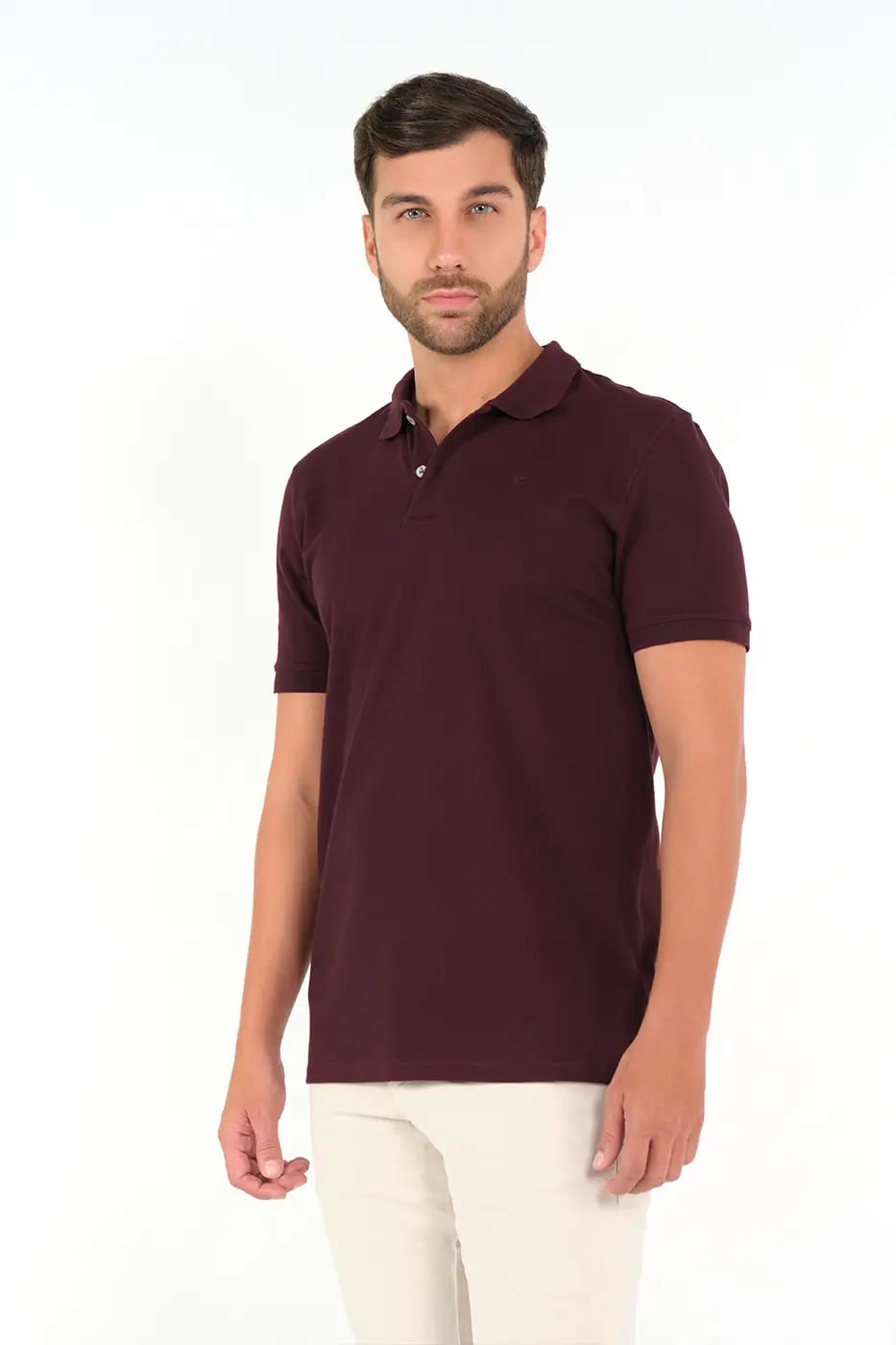 Camiseta Polo 100% Algodón Piqué Vintotinto Borgo - imagen 1