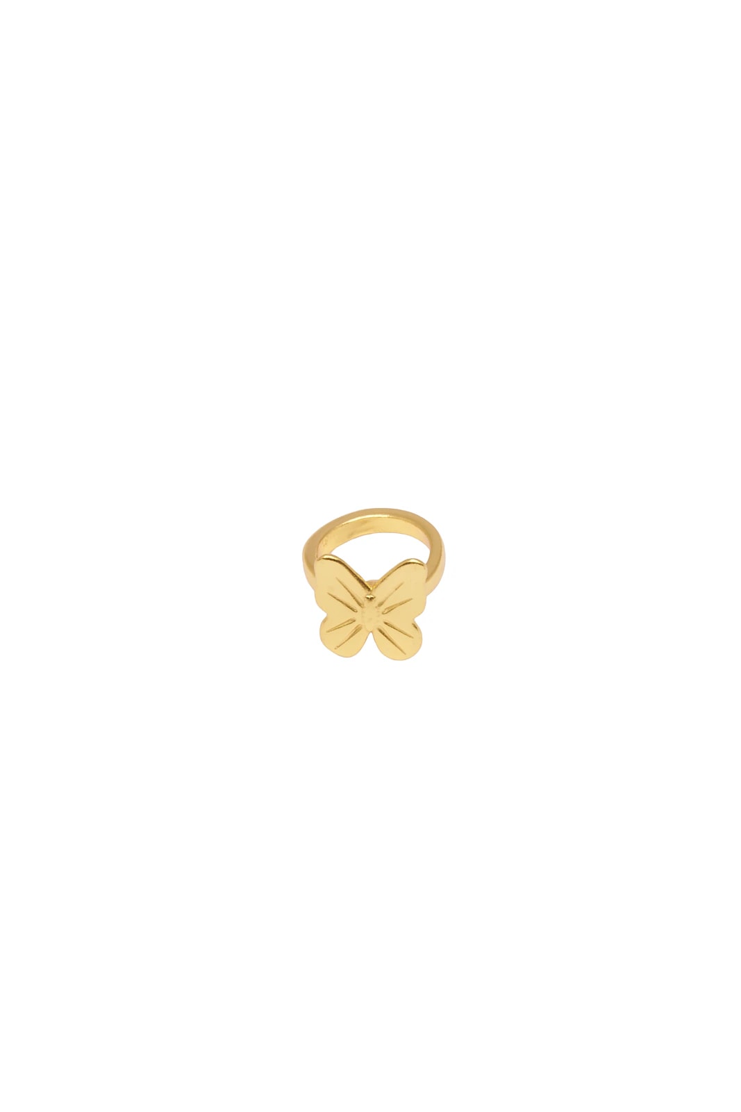Baby flight Ring - imagen 1