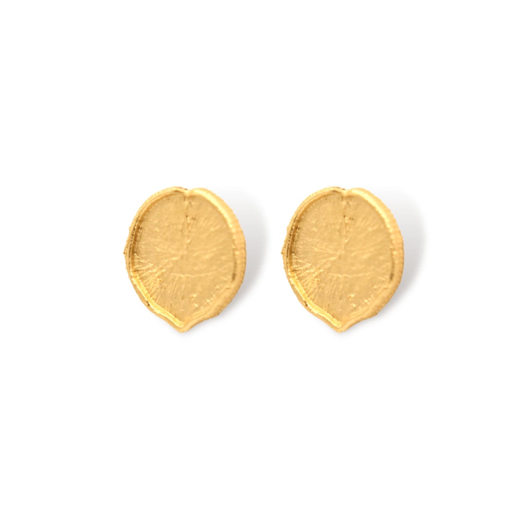 Aretes hoja de victoria regia - imagen 1