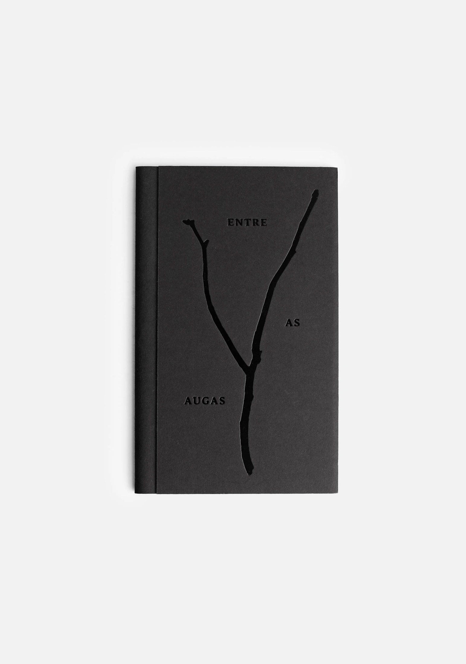 Libro Entre As Aguas ED. A&A - imagen 1