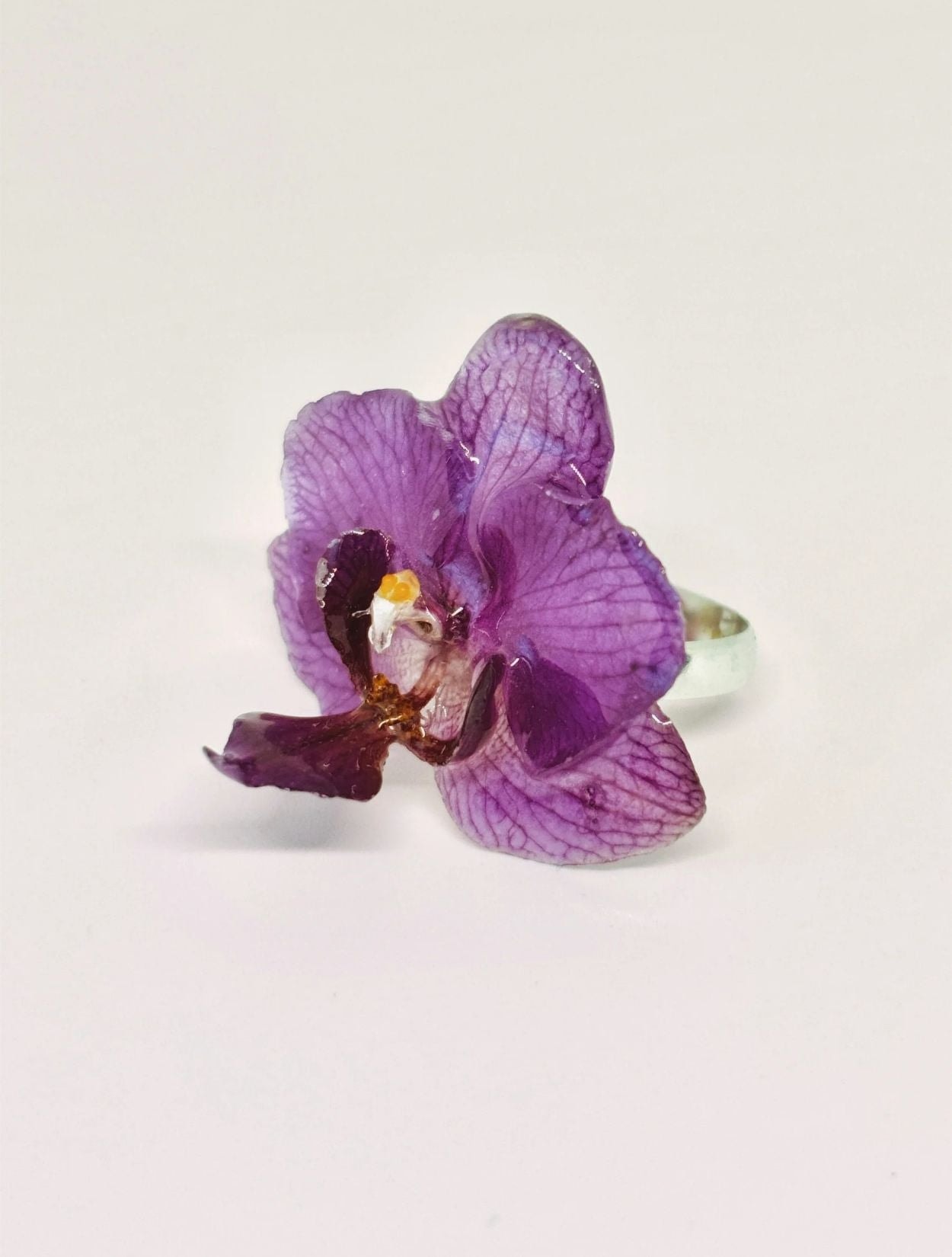 ANILLO SAVIA - imagen 1