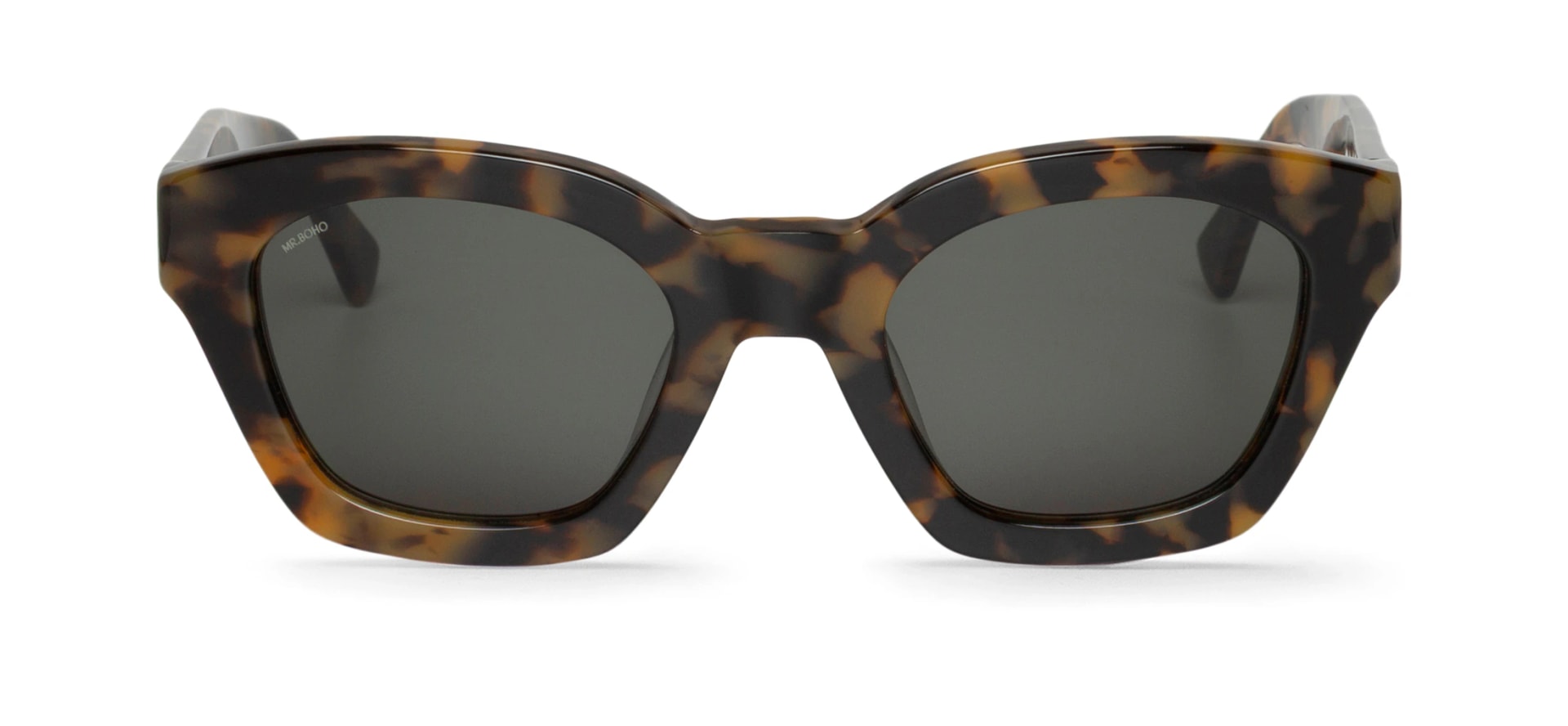 HC TORTOISE - BARROSA WITH CLASSICAL LENSES - imagen 1
