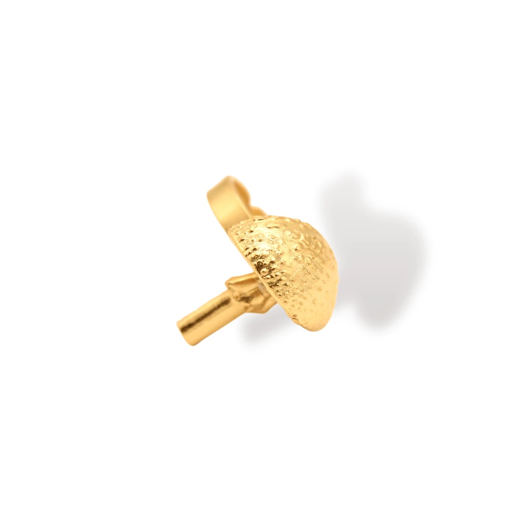 Anillo de hongo - imagen 1