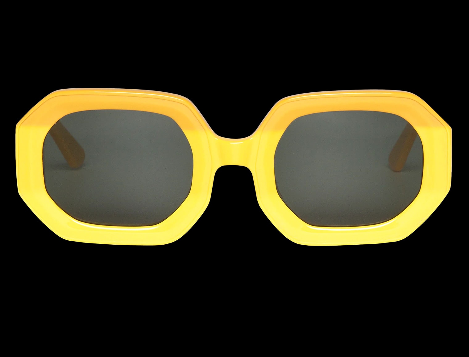 SUNNY SAGENE WITH CLASSICAL LENSES - imagen 1