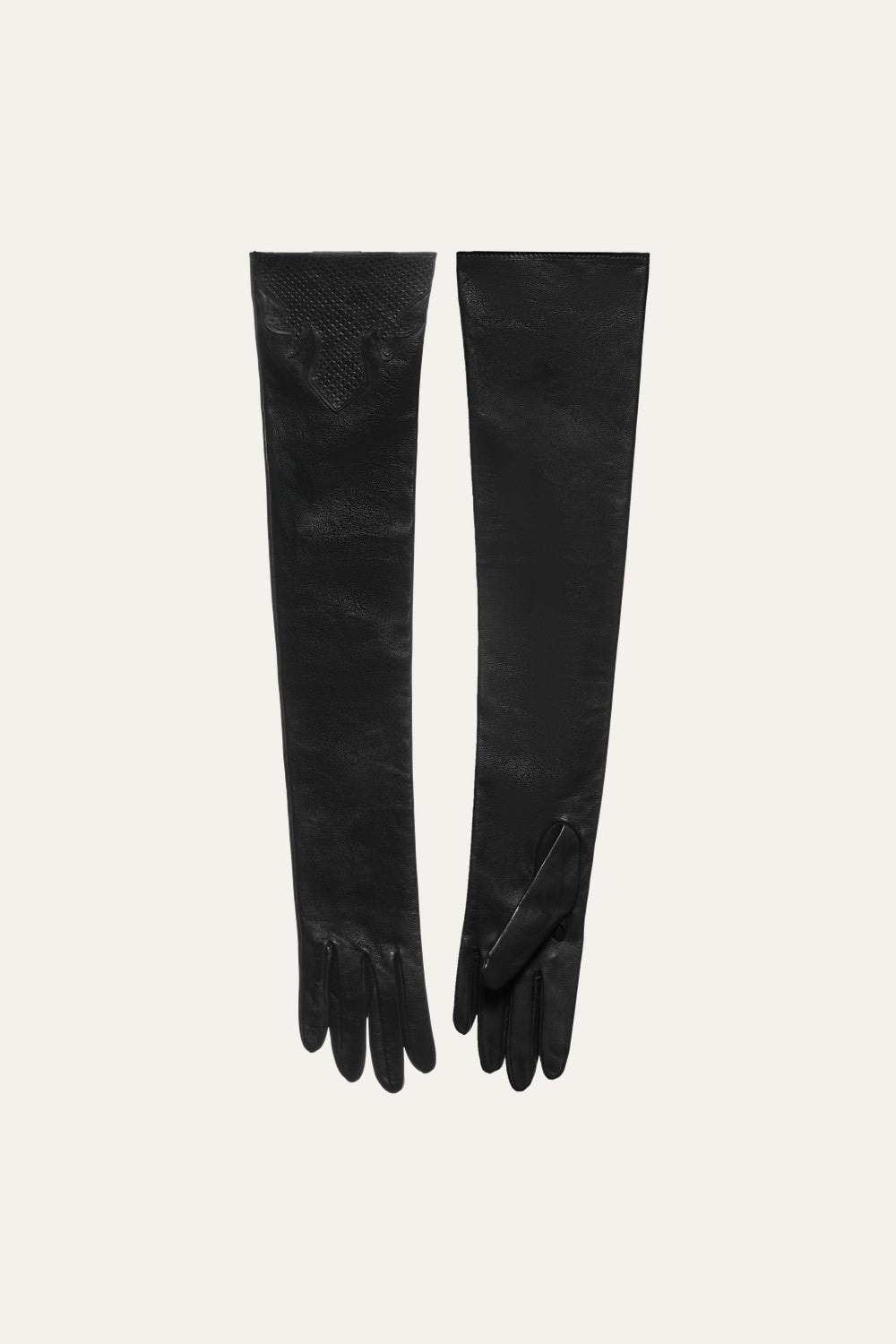 The Hidden Eden Gloves - imagen 1