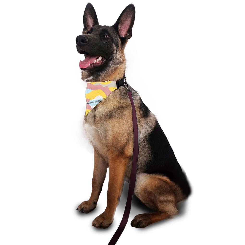 Set collar y pañoleta Timbiquí Manchas Valiente - imagen 1