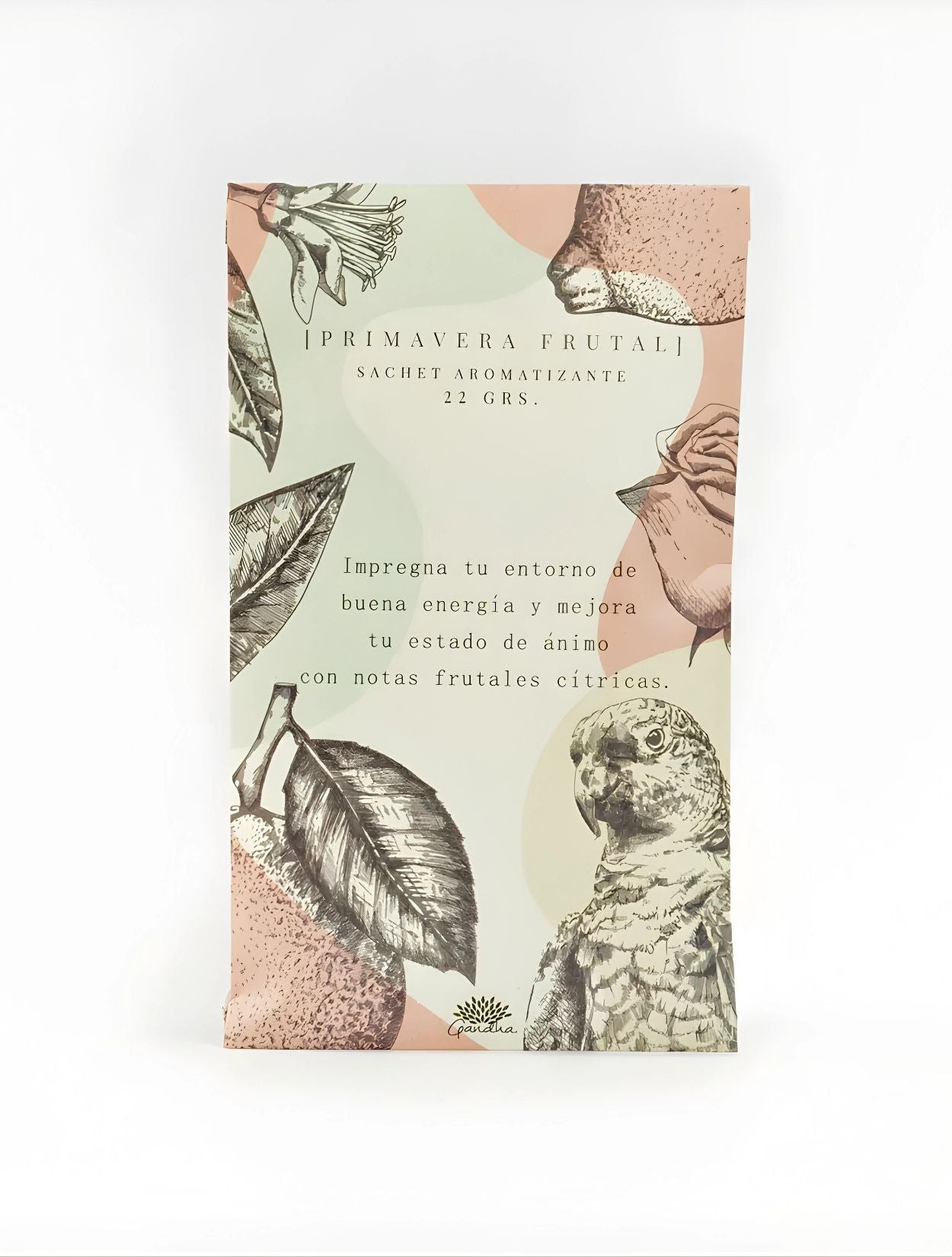SACHET GRANDE DE PRIMAVERA - imagen 1