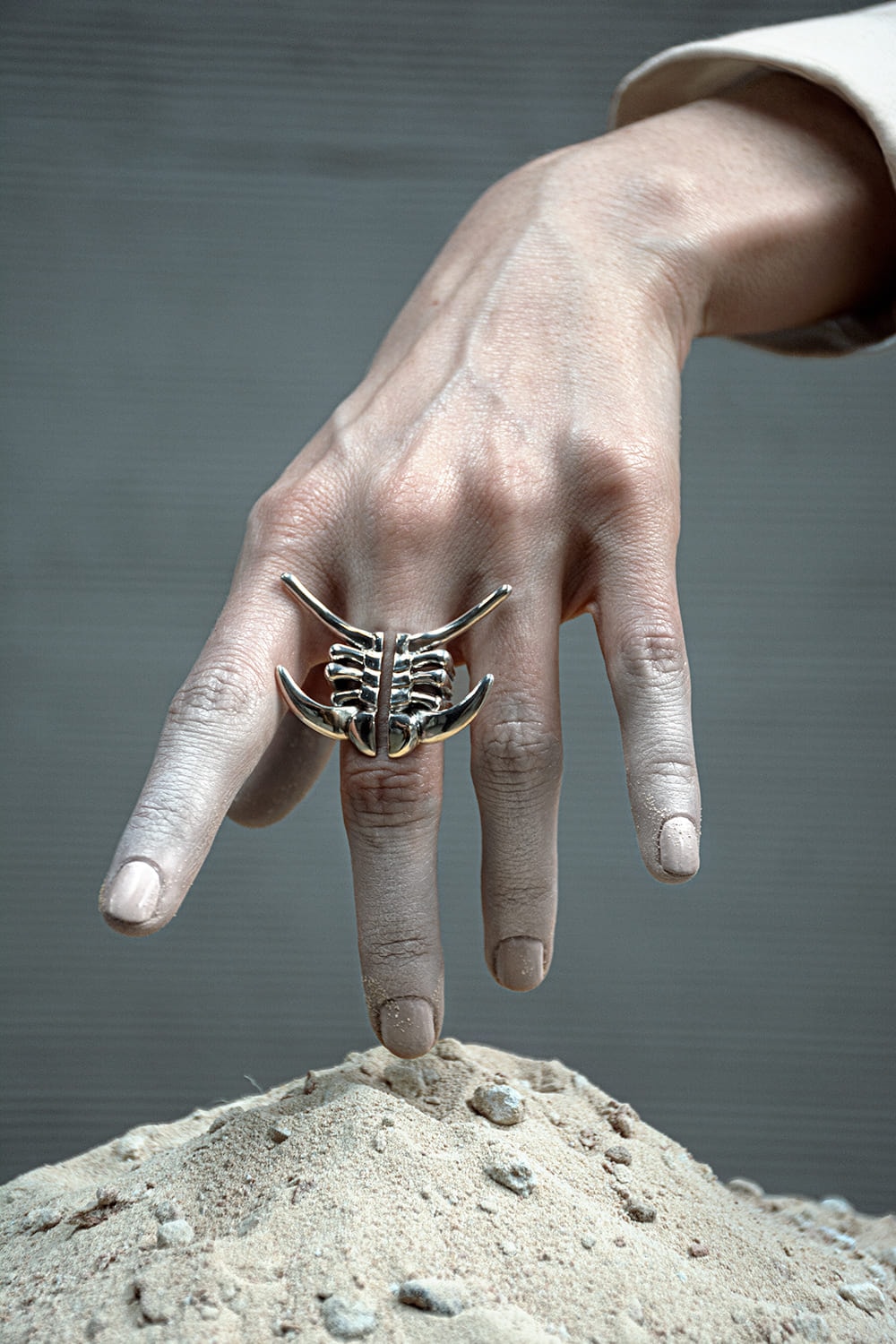 Anillo Deiphon - imagen 1