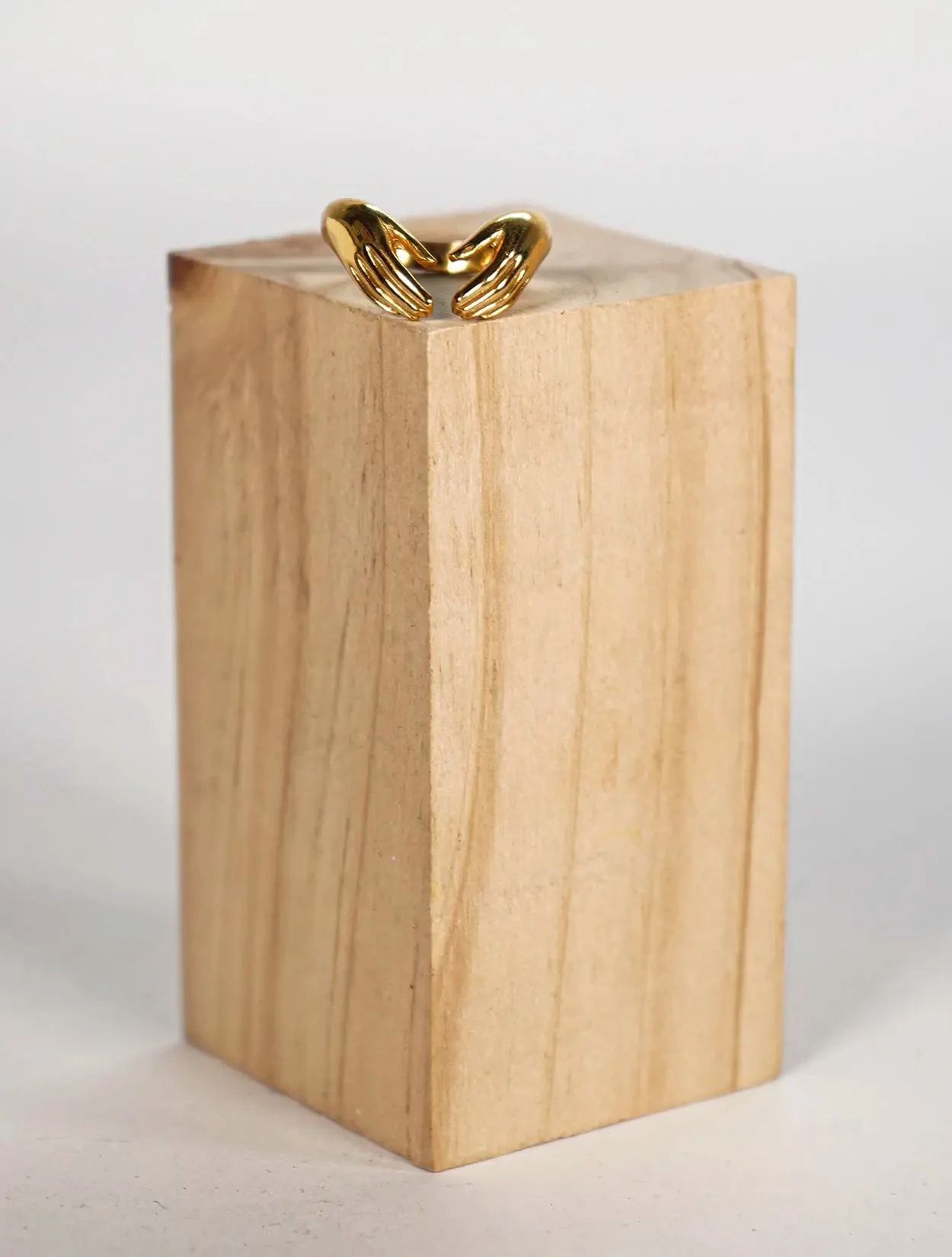 ANILLO MANOS - imagen 1
