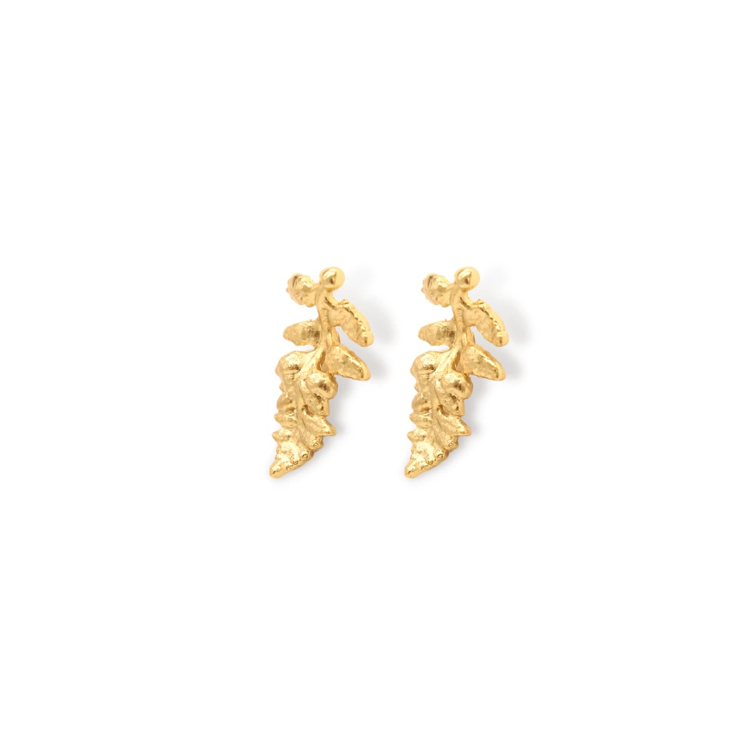Aretes de helecho pequeño - imagen 1