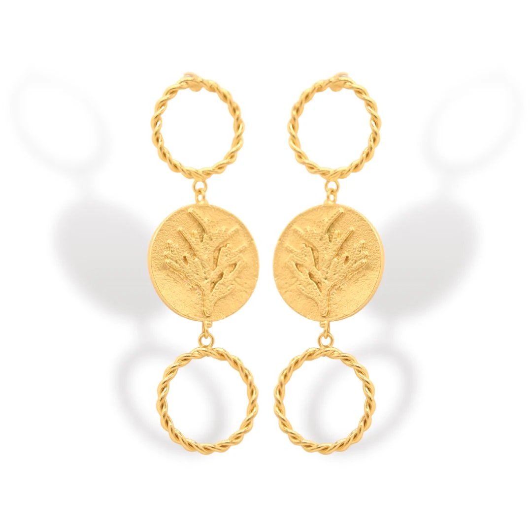 Aretes de coníferas y aros - imagen 1