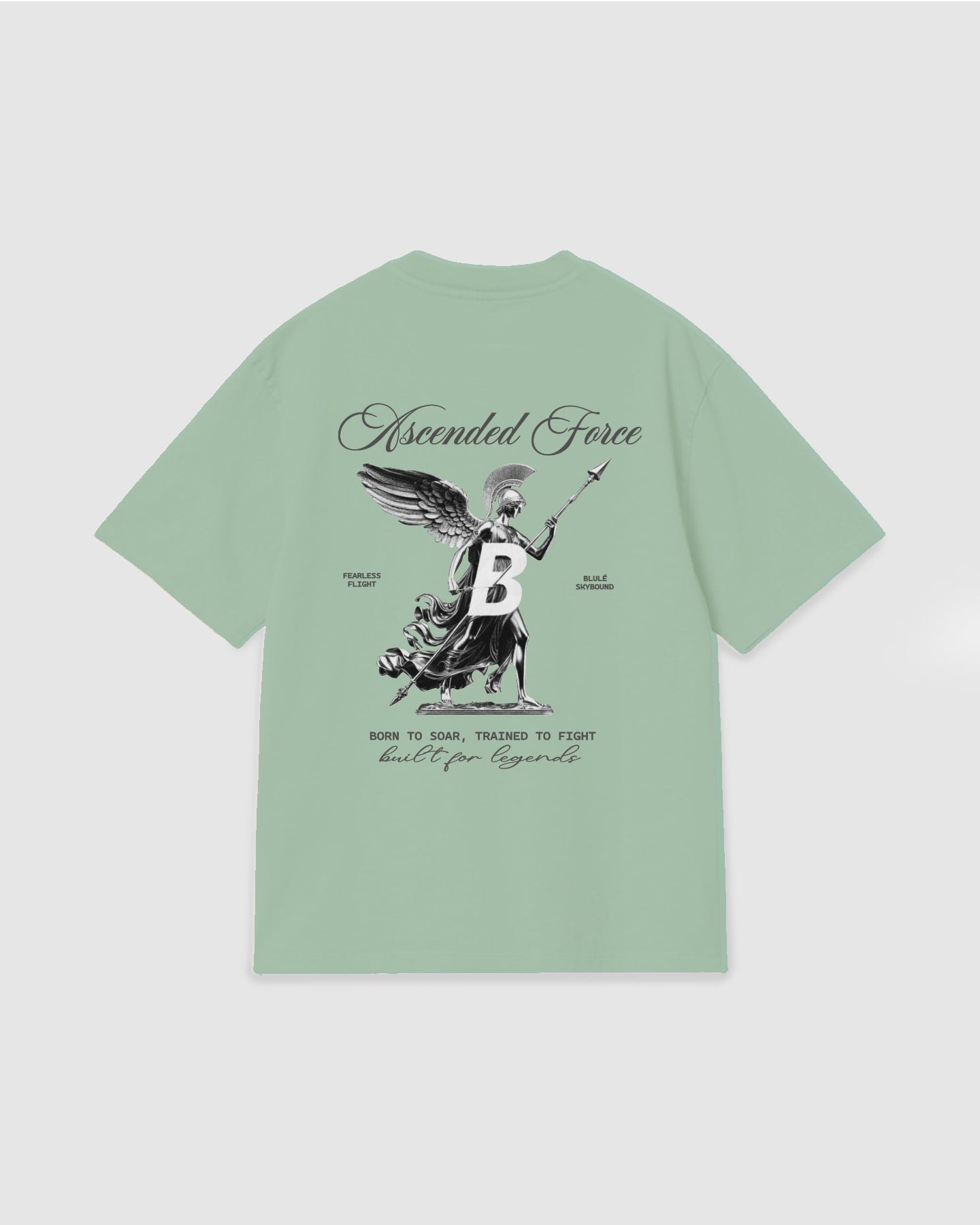 Oversized T Shirt Ascended Force Light Green - imagen 1
