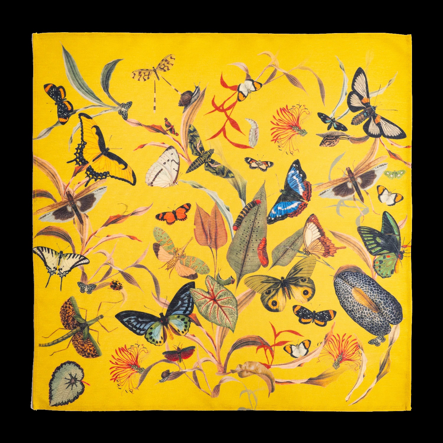 Servilletas - Butterfly Yellow 1 - imagen 1