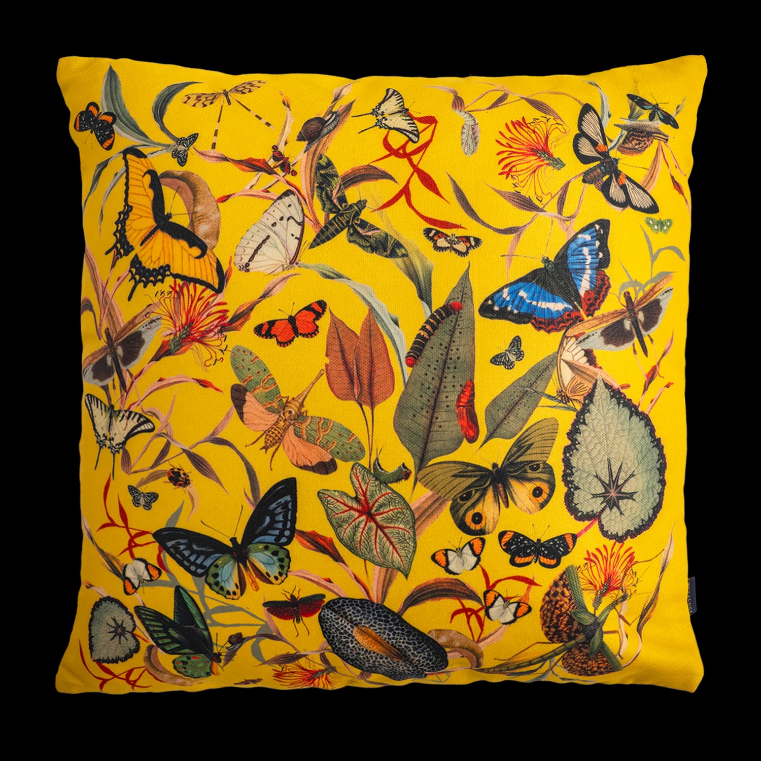 Cojin - Butterfly Yellow - imagen 1