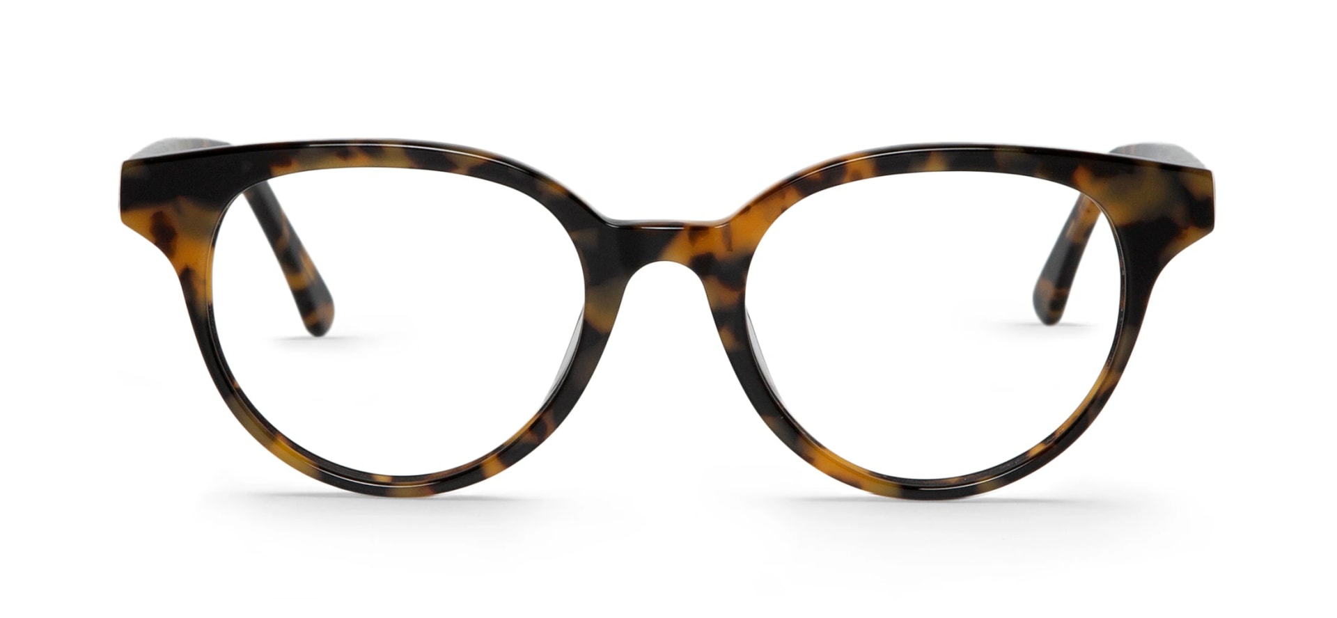 HC TORTOISE DANDIEU - imagen 1