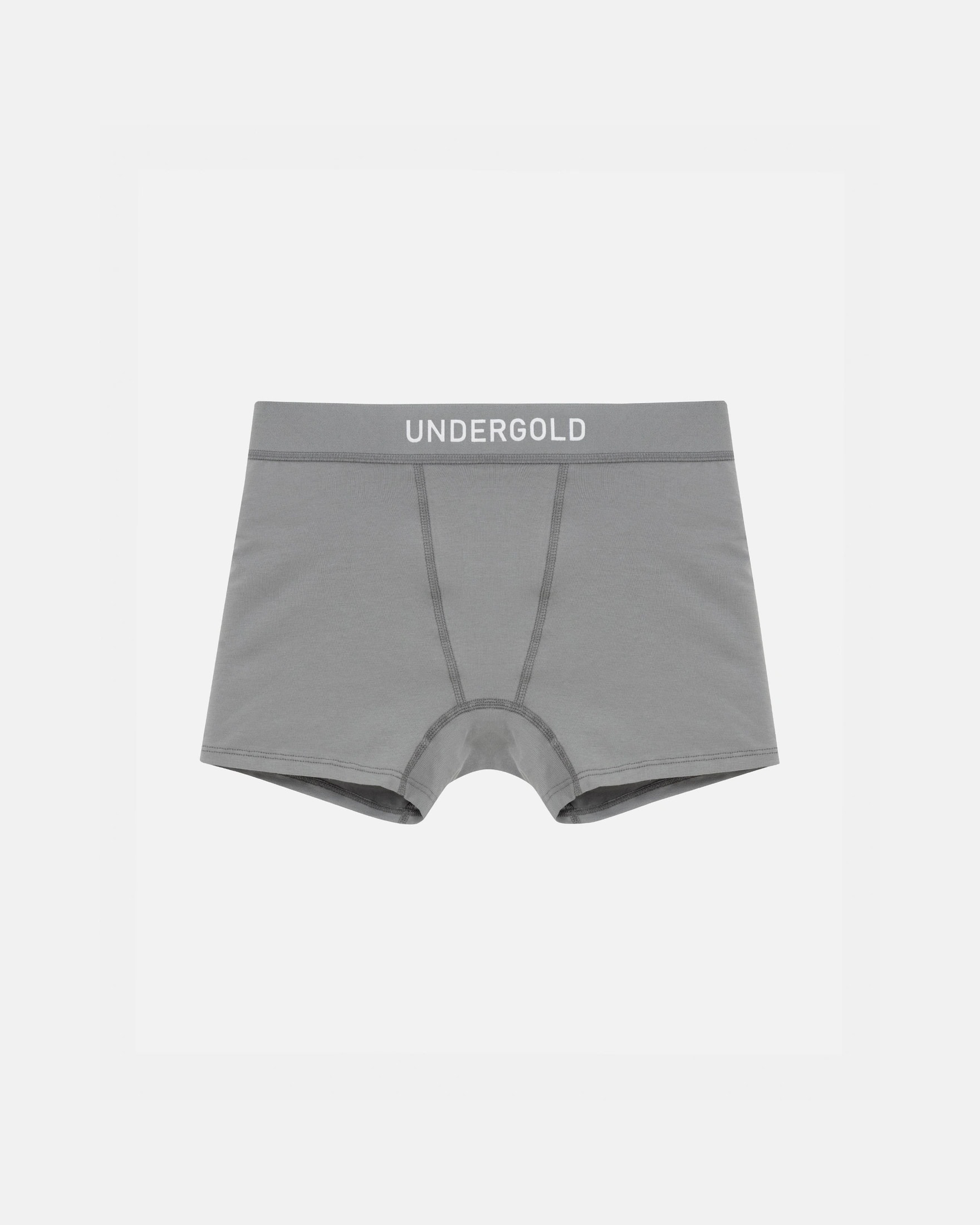 W Basics Boxers Gray - imagen 1