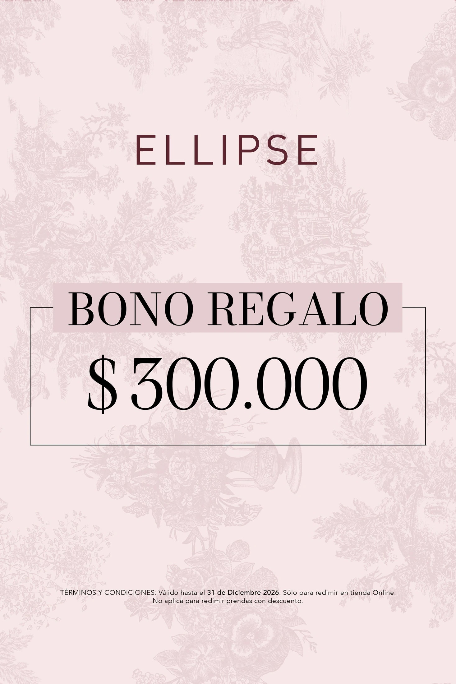 Gift Card 300 - imagen 1