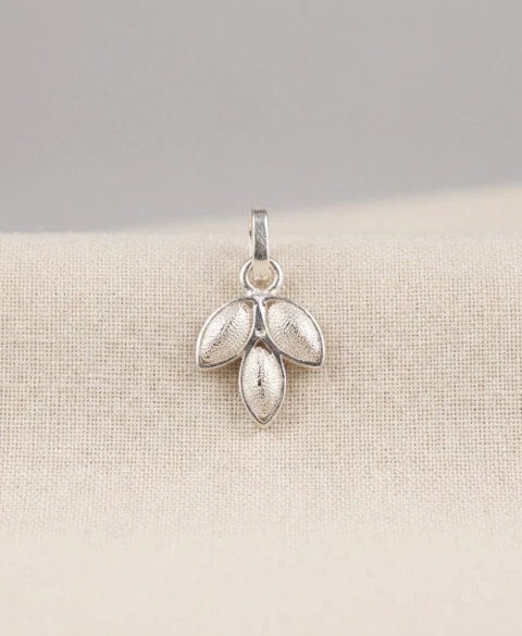 Dije Personalizado Mascota en plata ley 925 - imagen 1