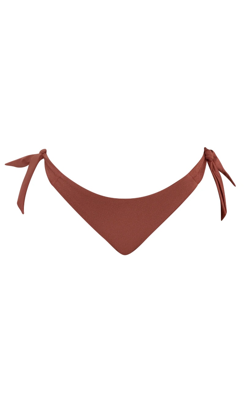 PANTY BIKINI DE ANUDAR CAMEL - imagen 1