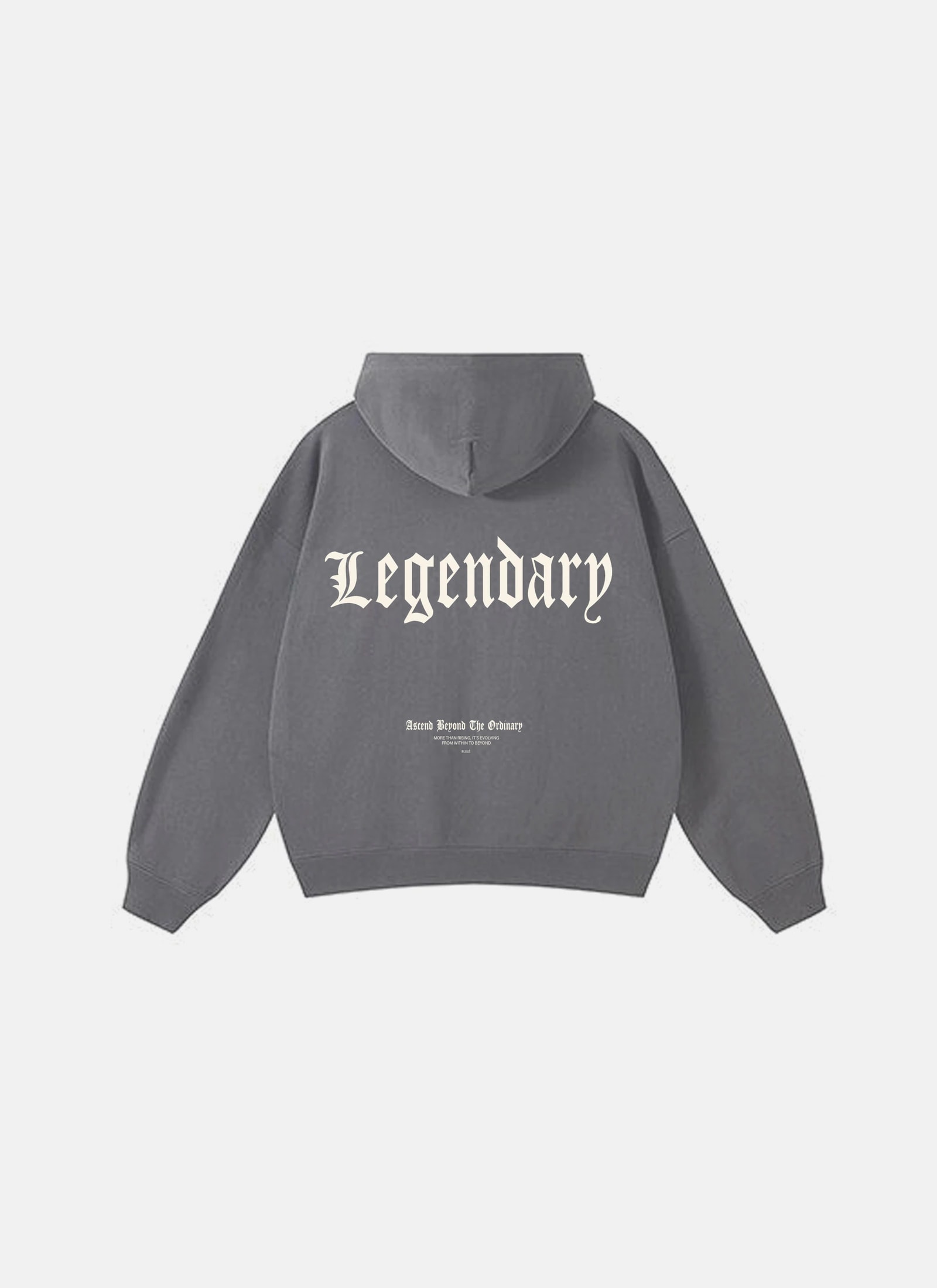 Legendary Hoodie Grey - imagen 1