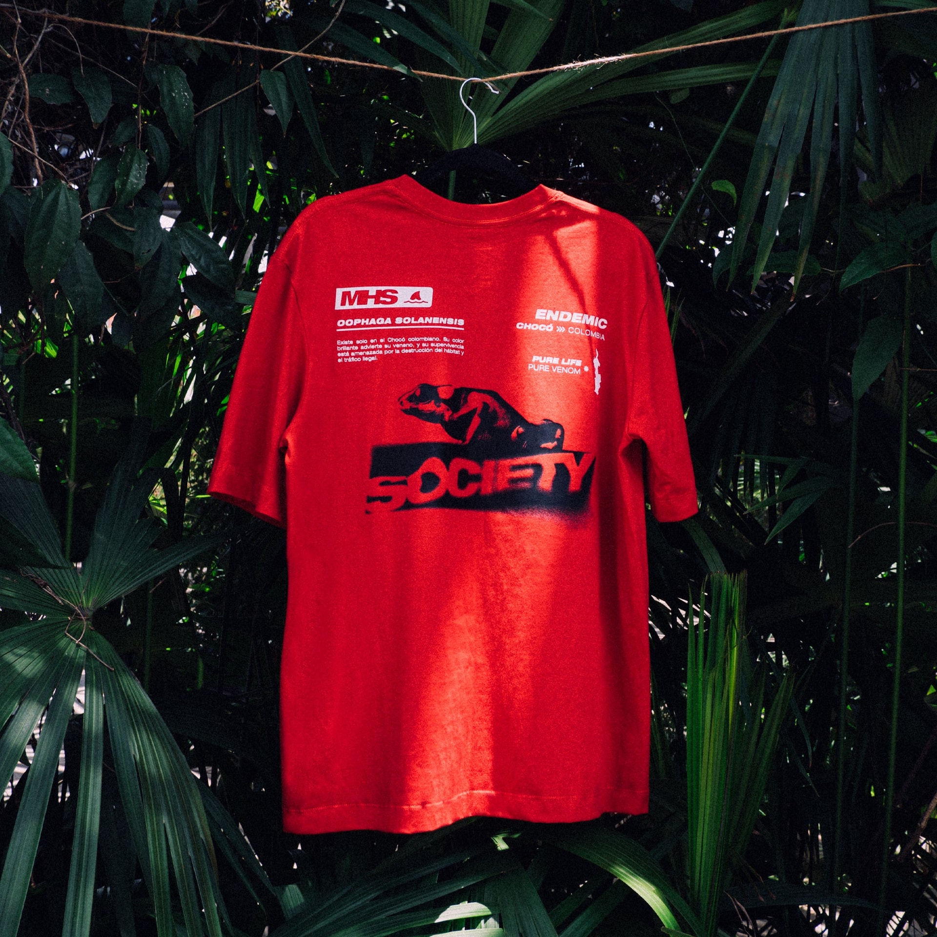 Camiseta Solanensis - imagen 1