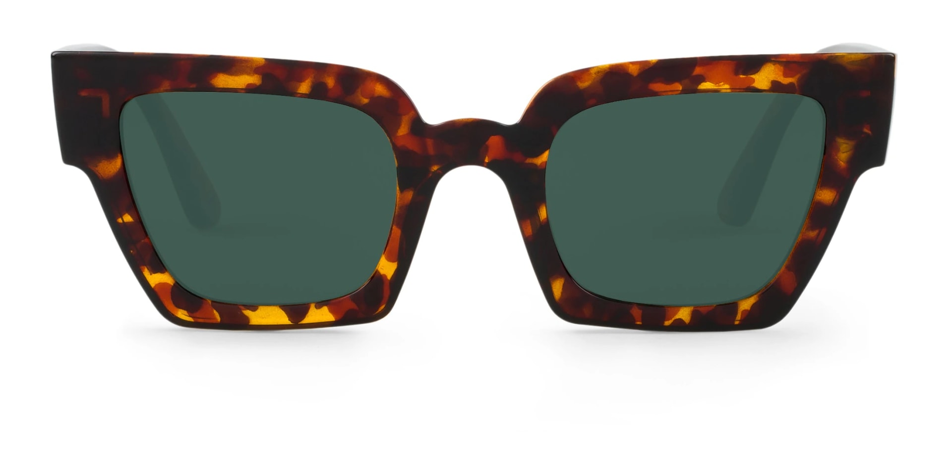 CHEETAH TORTOISE FRELARD WITH CLASSICAL LENSES - imagen 1