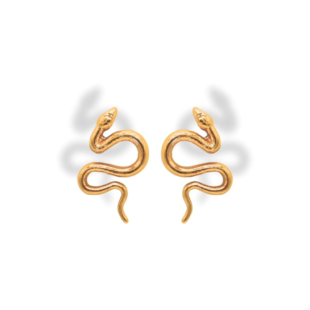 Aretes de serpiente grande - imagen 1