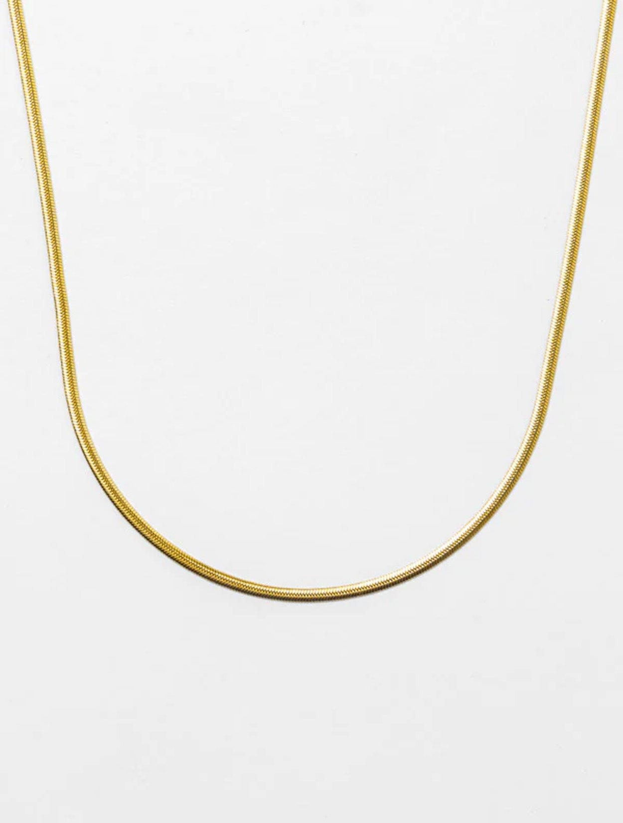 COLLAR DYLOS - imagen 1