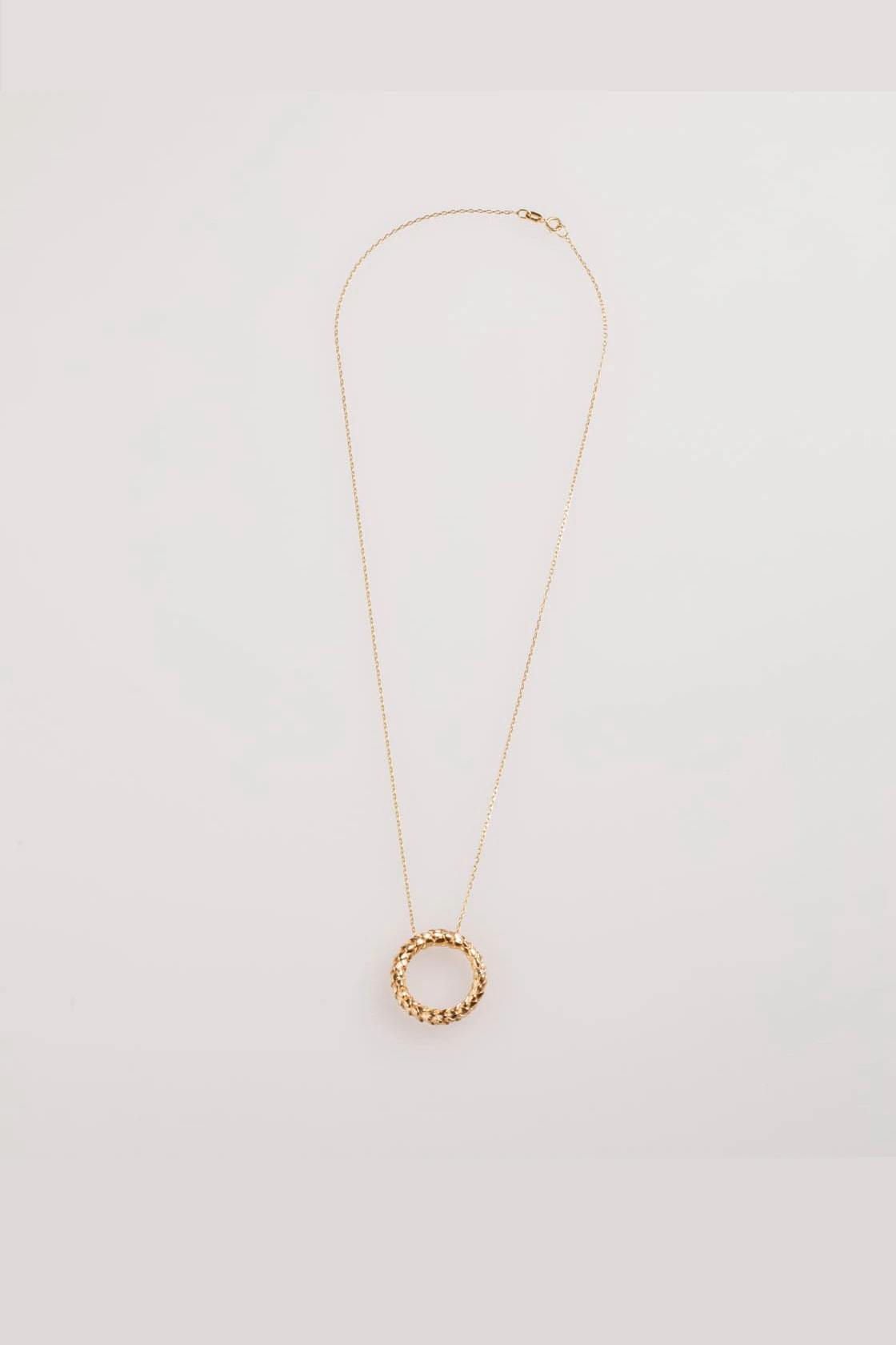 ARAUCARIA CIRCLE NECKLACE - imagen 1
