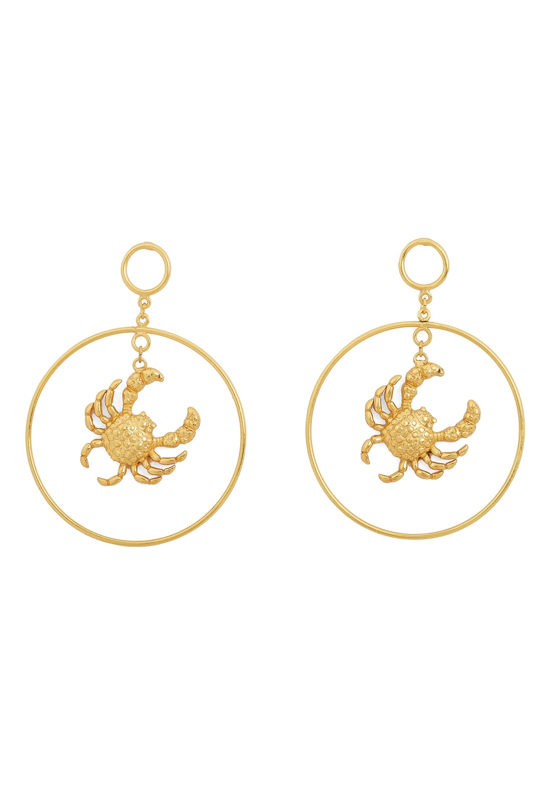 Mr Crab Maxi Hoops - imagen 1
