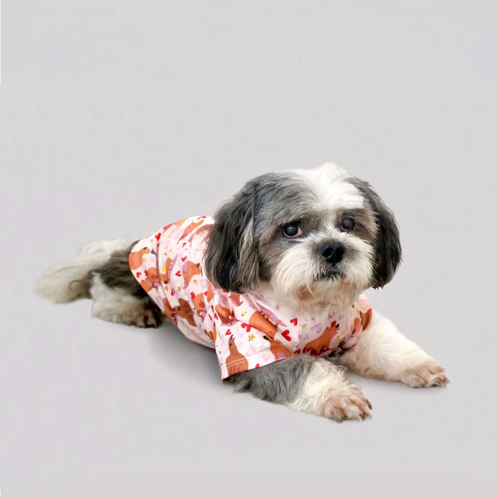 Pijama Estampada Perrito. - imagen 1