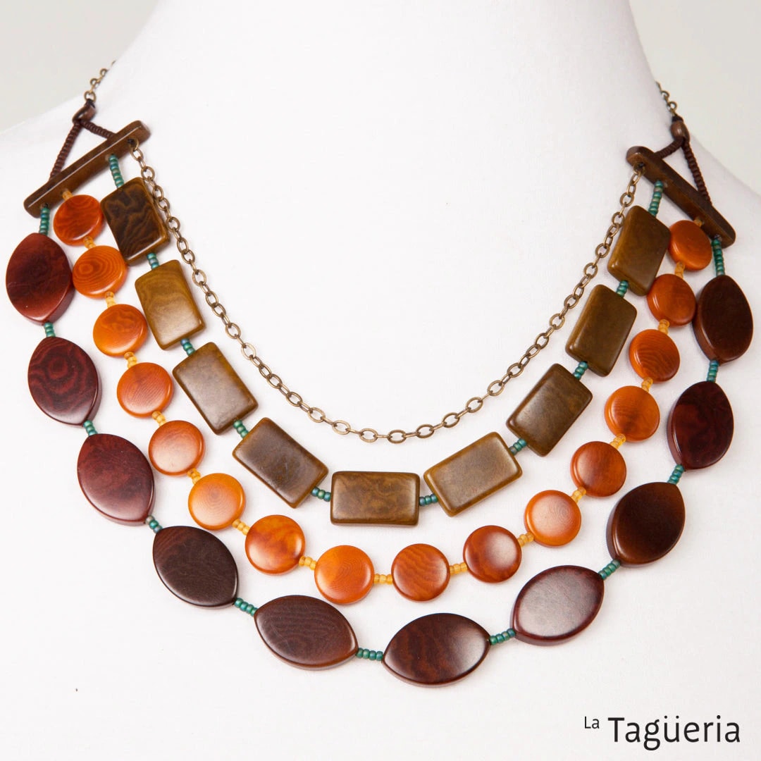 Acelga - imagen 1