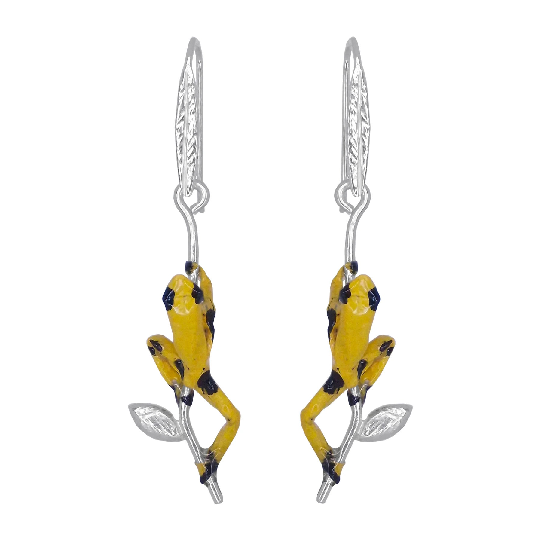 Arete rana - imagen 1