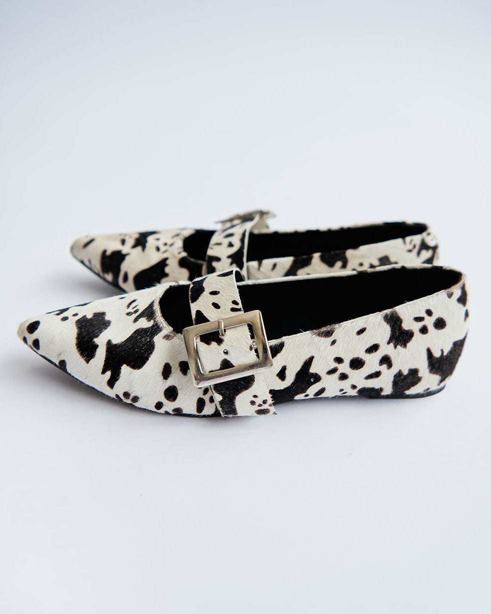 COW POINTER FLATS - imagen 1