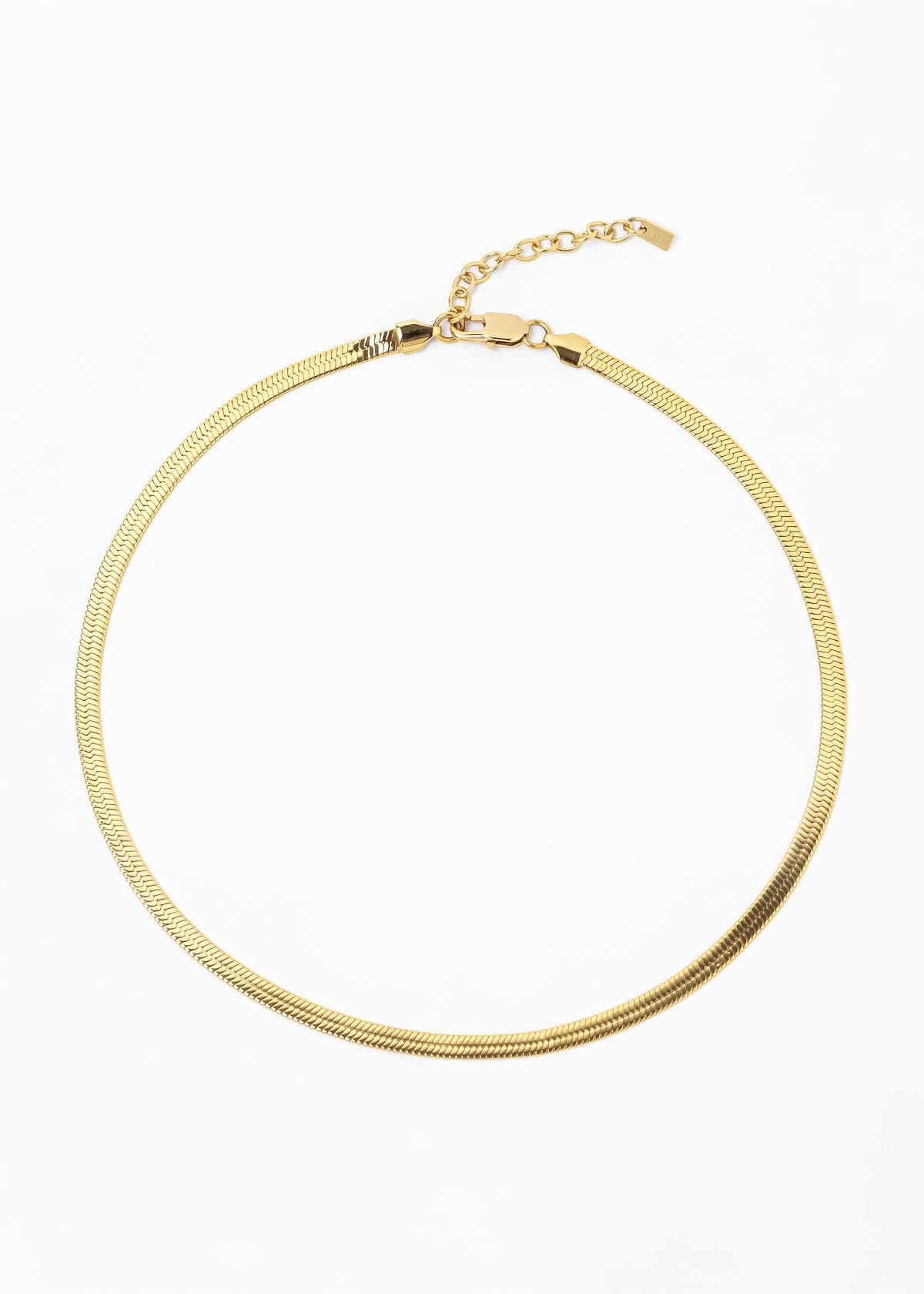 Collar Fidi Dorado - imagen 1