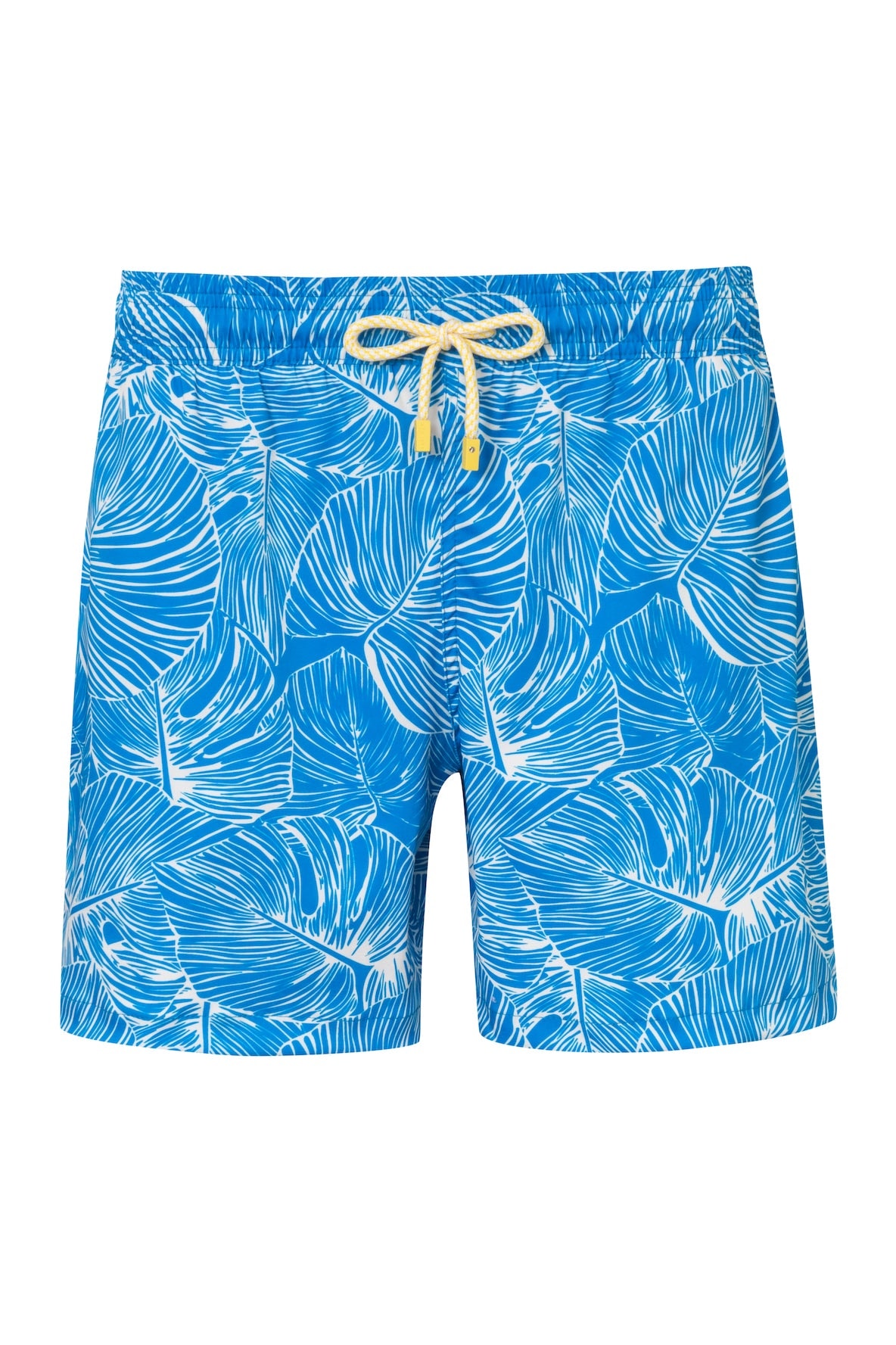 Pantaloneta de Baño Slim Iguana6 Rey - imagen 1