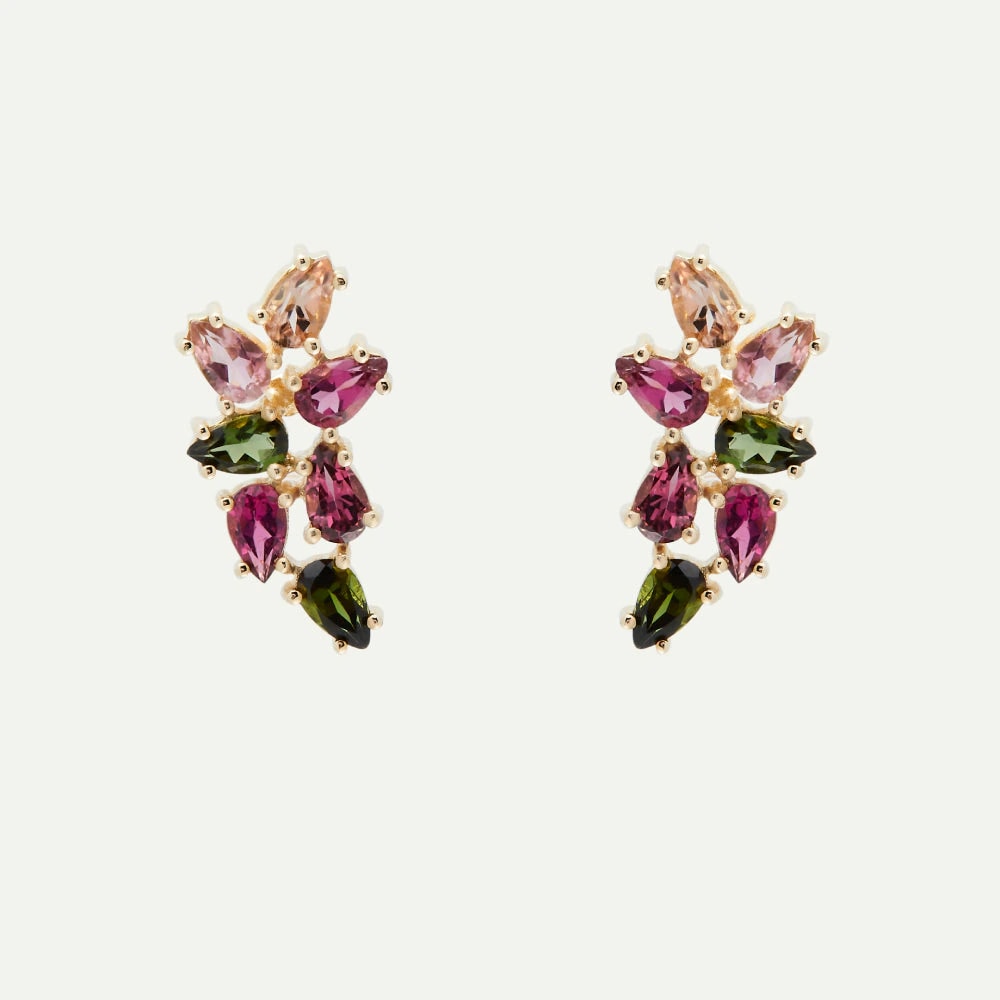 Arete Fancy candy crawler - imagen 1