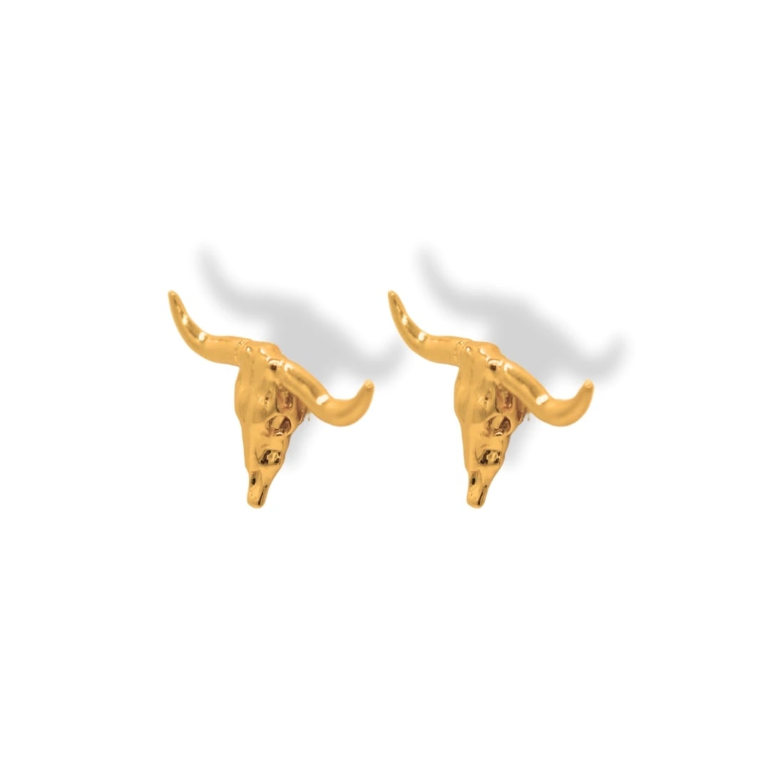 Aretes de cráneo bovino - imagen 1