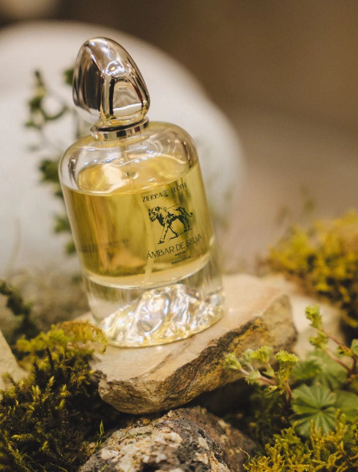 PERFUME ÁMBAR DE SELVA - imagen 1