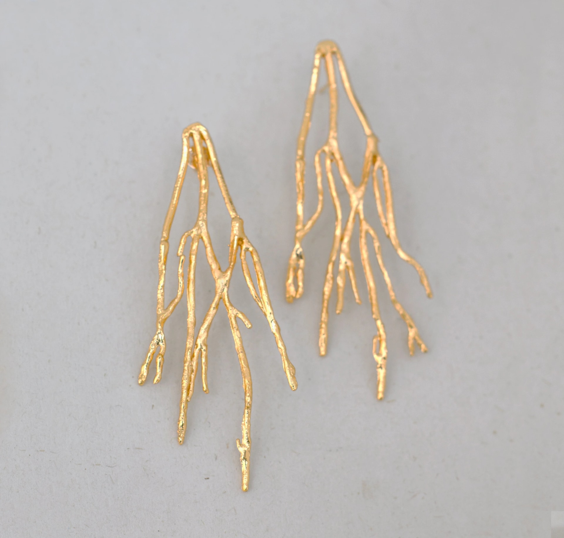 Aretes Arraigados - imagen 1