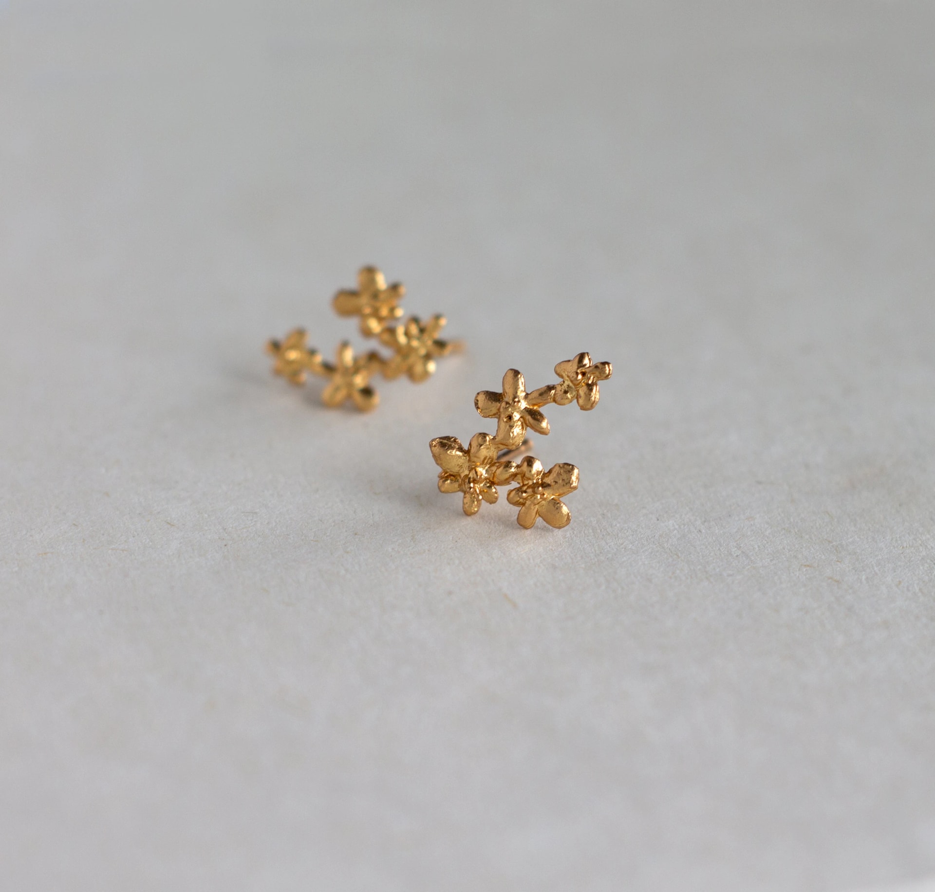 Topos Flor zanahoria - imagen 1